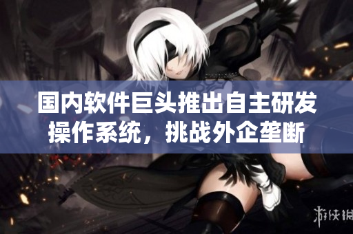 国内软件巨头推出自主研发操作系统，挑战外企垄断