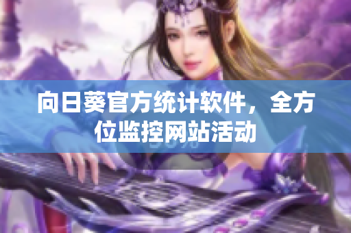 向日葵官方统计软件，全方位监控网站活动