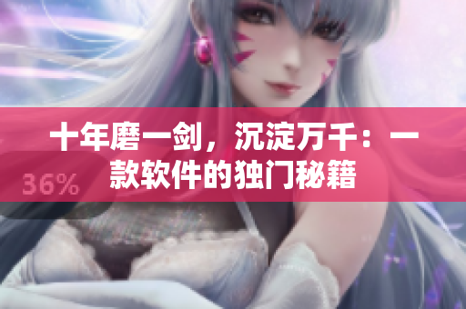 十年磨一剑，沉淀万千：一款软件的独门秘籍