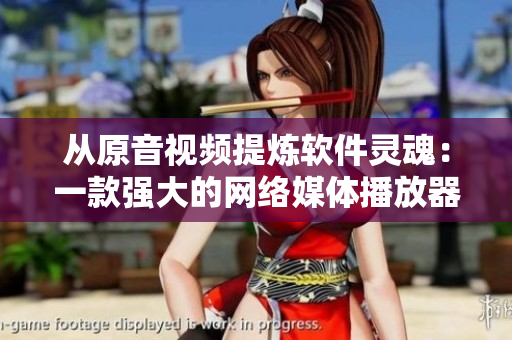 从原音视频提炼软件灵魂：一款强大的网络媒体播放器