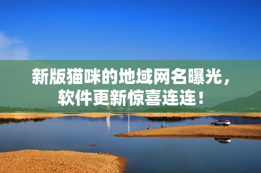 新版猫咪的地域网名曝光，软件更新惊喜连连！