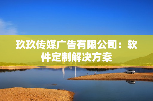 玖玖传媒广告有限公司：软件定制解决方案