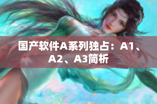 国产软件A系列独占：A1、A2、A3简析