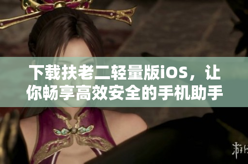 下载扶老二轻量版iOS，让你畅享高效安全的手机助手