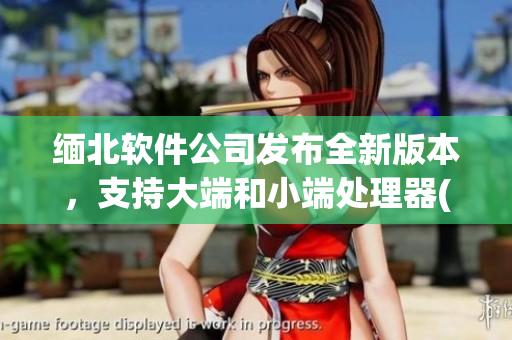 缅北软件公司发布全新版本，支持大端和小端处理器(1)