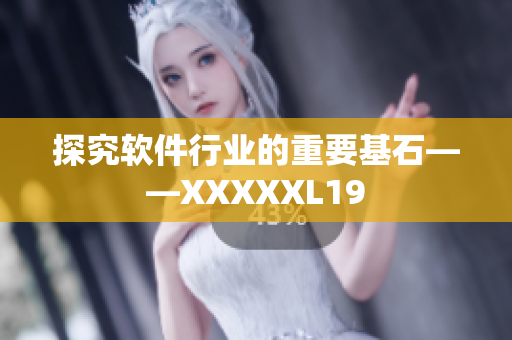 探究软件行业的重要基石——XXXXXL19