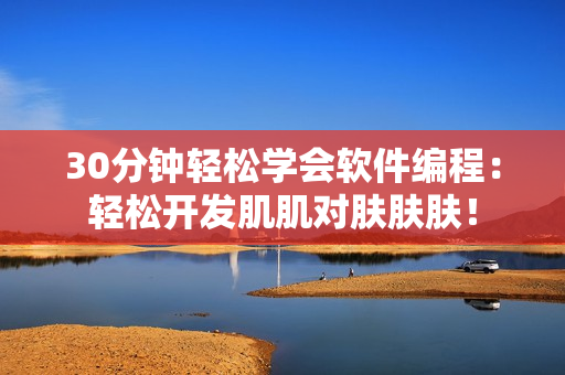 30分钟轻松学会软件编程：轻松开发肌肌对肤肤肤！