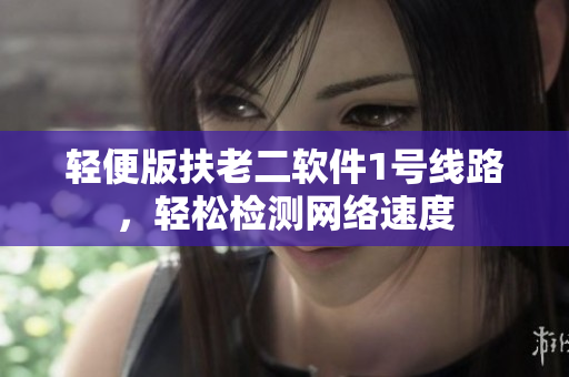 轻便版扶老二软件1号线路，轻松检测网络速度
