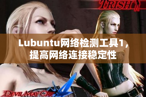 Lubuntu网络检测工具1，提高网络连接稳定性