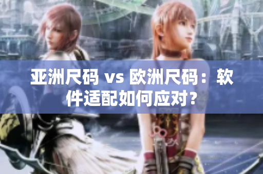 亚洲尺码 vs 欧洲尺码：软件适配如何应对？