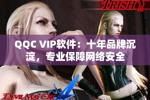 QQC VIP软件：十年品牌沉淀，专业保障网络安全