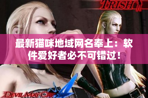 最新猫咪地域网名奉上：软件爱好者必不可错过！