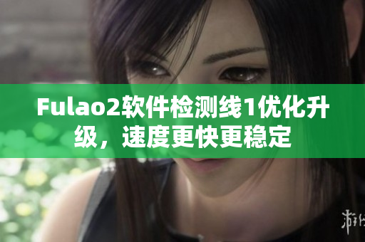 Fulao2软件检测线1优化升级，速度更快更稳定