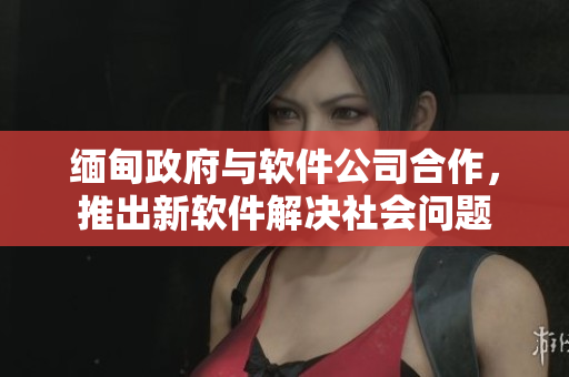 缅甸政府与软件公司合作，推出新软件解决社会问题