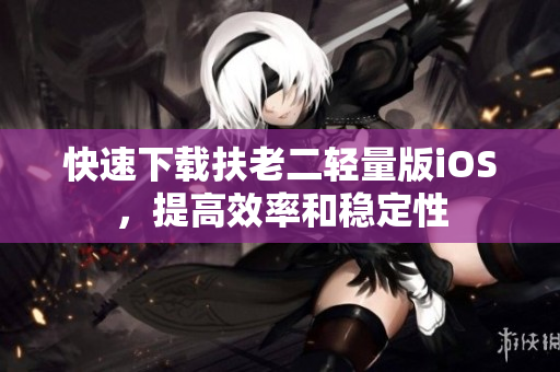 快速下载扶老二轻量版iOS，提高效率和稳定性