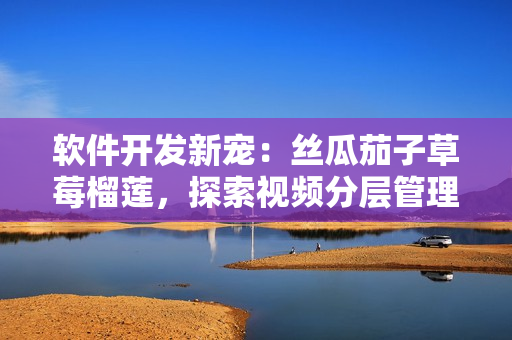 软件开发新宠：丝瓜茄子草莓榴莲，探索视频分层管理技术