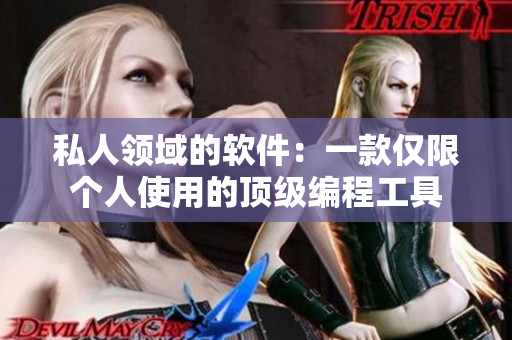 私人领域的软件：一款仅限个人使用的顶级编程工具