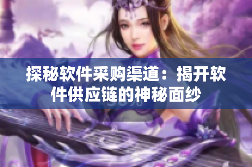 探秘软件采购渠道：揭开软件供应链的神秘面纱