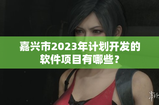 嘉兴市2023年计划开发的软件项目有哪些？