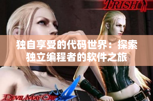 独自享受的代码世界：探索独立编程者的软件之旅