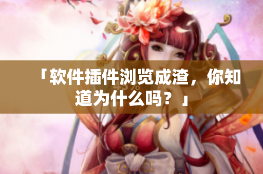 「软件插件浏览成渣，你知道为什么吗？」
