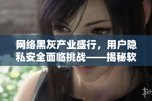 网络黑灰产业盛行，用户隐私安全面临挑战——揭秘软件数据泄露黑幕