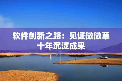 软件创新之路：见证微微草十年沉淀成果