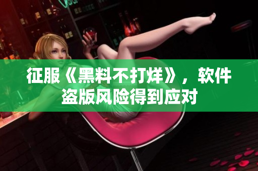 征服《黑料不打烊》，软件盗版风险得到应对