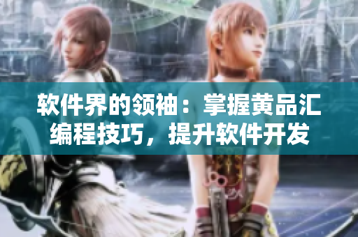 软件界的领袖：掌握黄品汇编程技巧，提升软件开发