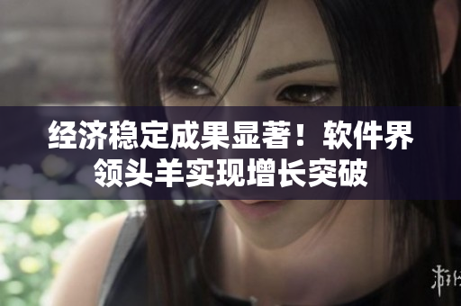 经济稳定成果显著！软件界领头羊实现增长突破