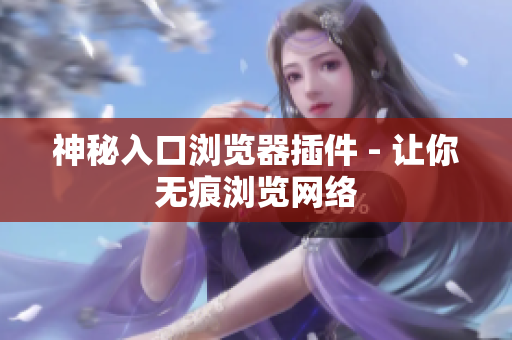 神秘入口浏览器插件 - 让你无痕浏览网络