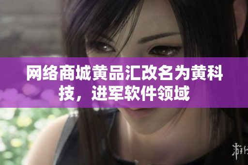 网络商城黄品汇改名为黄科技，进军软件领域
