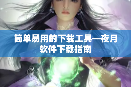简单易用的下载工具—夜月软件下载指南
