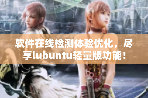 软件在线检测体验优化，尽享lubuntu轻量版功能！