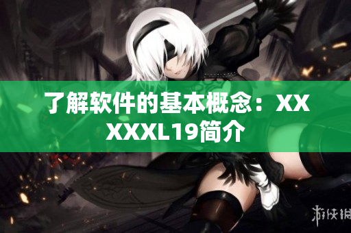 了解软件的基本概念：XXXXXL19简介