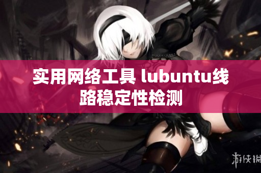 实用网络工具 lubuntu线路稳定性检测