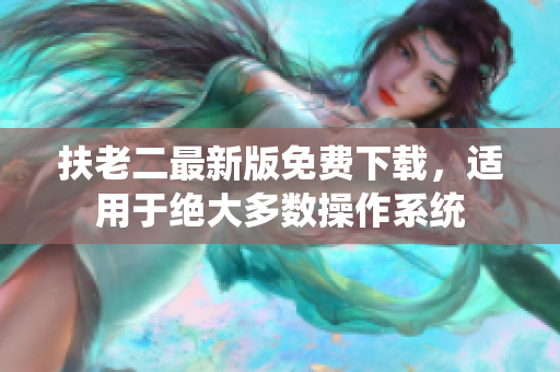 扶老二最新版免费下载，适用于绝大多数操作系统