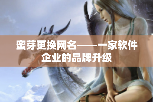 蜜芽更换网名——一家软件企业的品牌升级