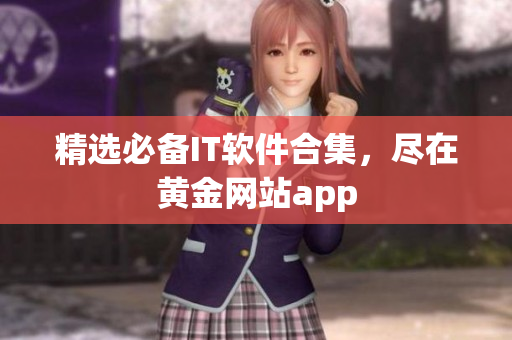 精选必备IT软件合集，尽在黄金网站app