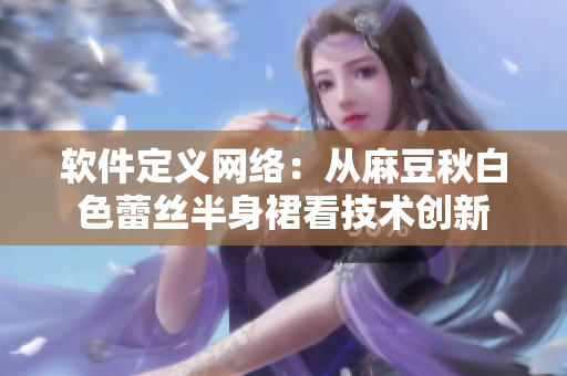 软件定义网络：从麻豆秋白色蕾丝半身裙看技术创新