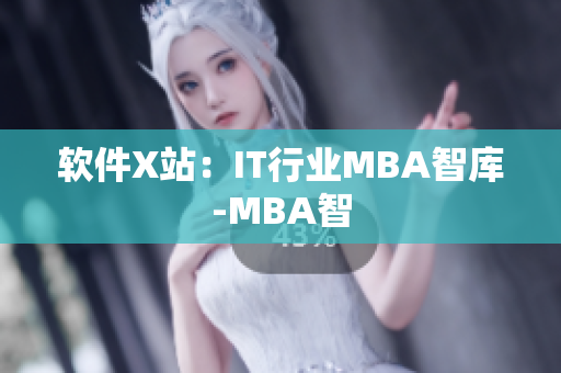 软件X站：IT行业MBA智库-MBA智