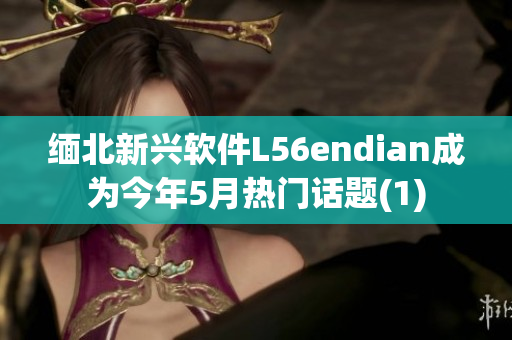 缅北新兴软件L56endian成为今年5月热门话题(1)