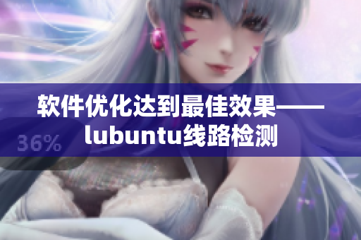 软件优化达到最佳效果——lubuntu线路检测