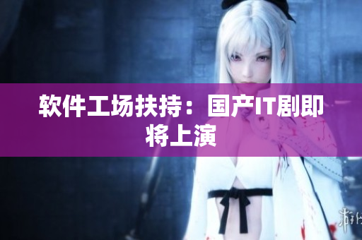 软件工场扶持：国产IT剧即将上演