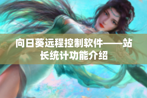 向日葵远程控制软件——站长统计功能介绍