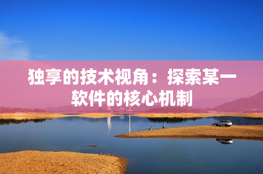 独享的技术视角：探索某一软件的核心机制