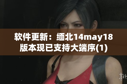 软件更新：缅北14may18版本现已支持大端序(1)
