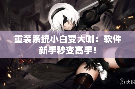 重装系统小白变大咖：软件新手秒变高手！