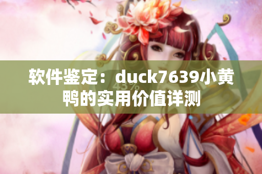 软件鉴定：duck7639小黄鸭的实用价值详测