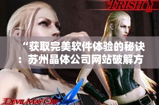 “获取完美软件体验的秘诀：苏州晶体公司网站破解方法”